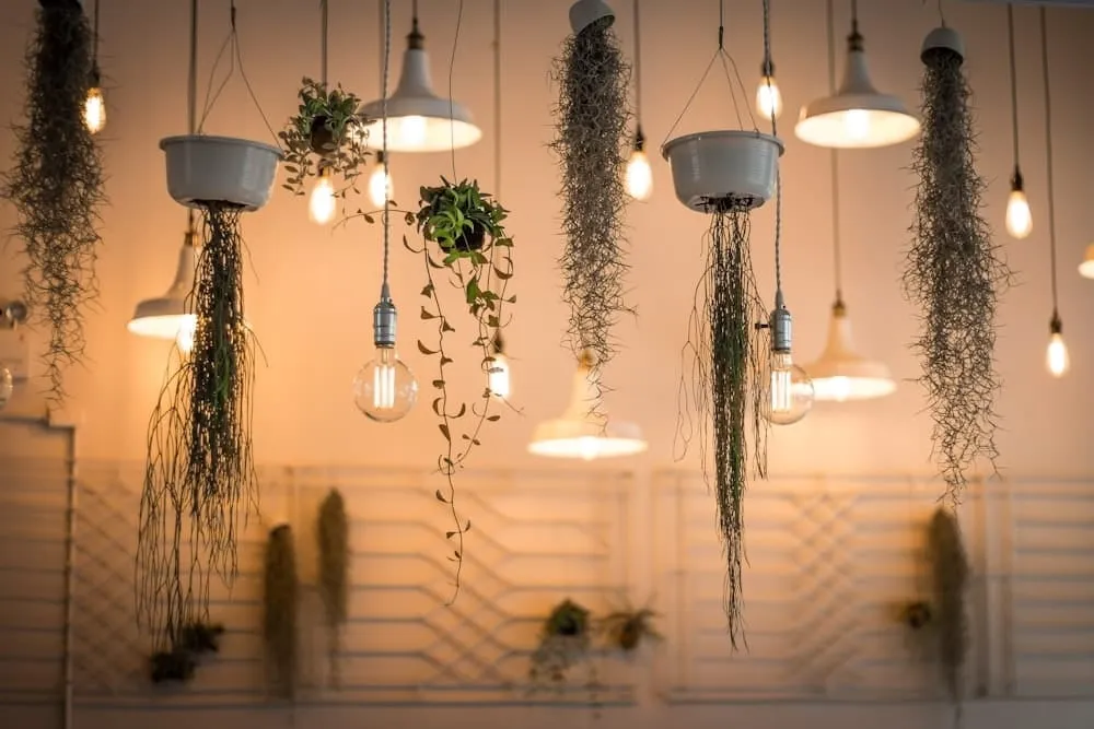 De magie van de juiste verlichting in huis!