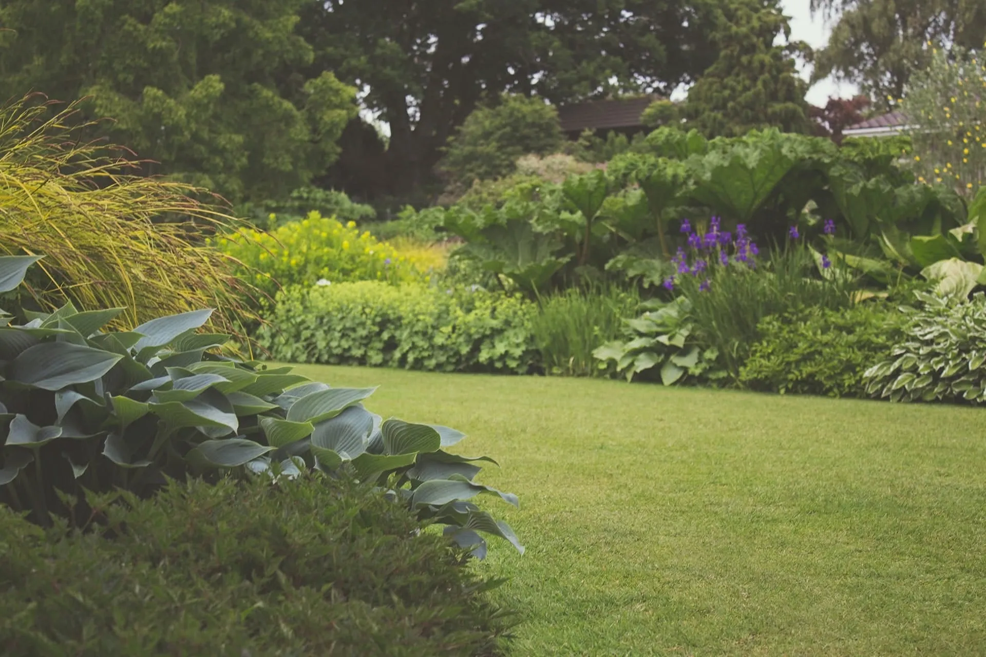 Gebruik het voorjaar om de tuin op te knappen