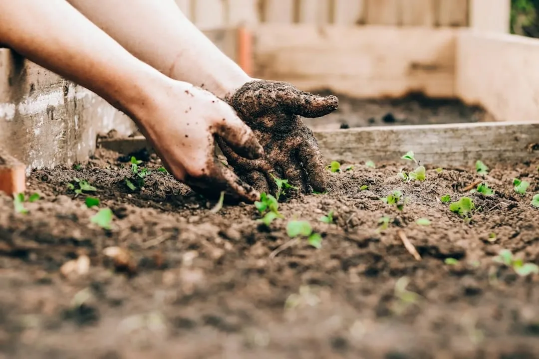 Het optimaal klaarmaken van je tuin voor de zomer: Tips en tricks
