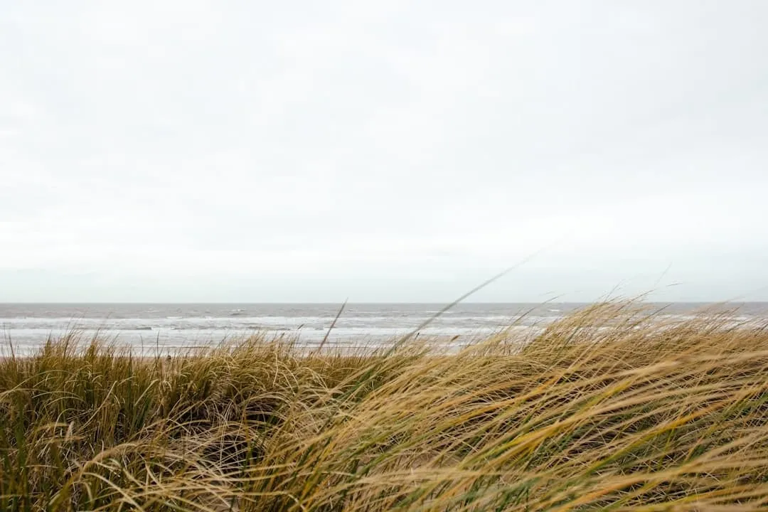 Ideeën voor een leuke, originele bedrijfsuitjes aan het strand