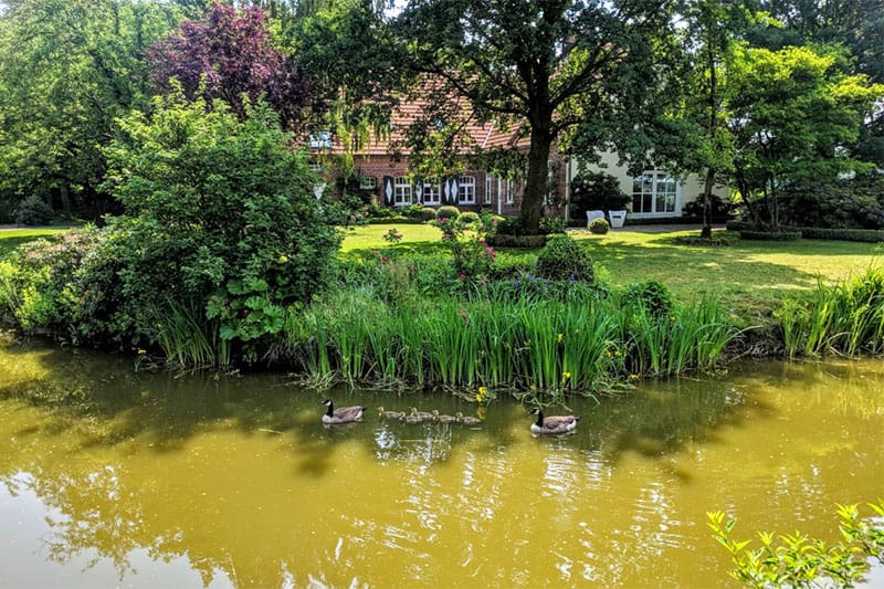 Bezoek aan Sarah Kock: Boerderij in Münsterland