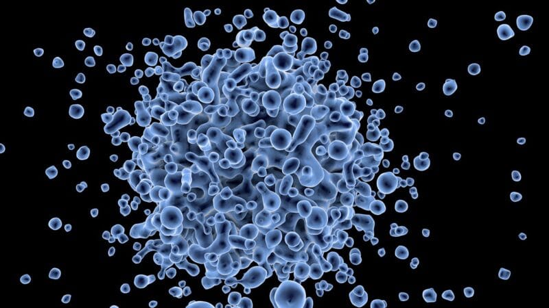 Wat is een Candida Infectie nou precies?